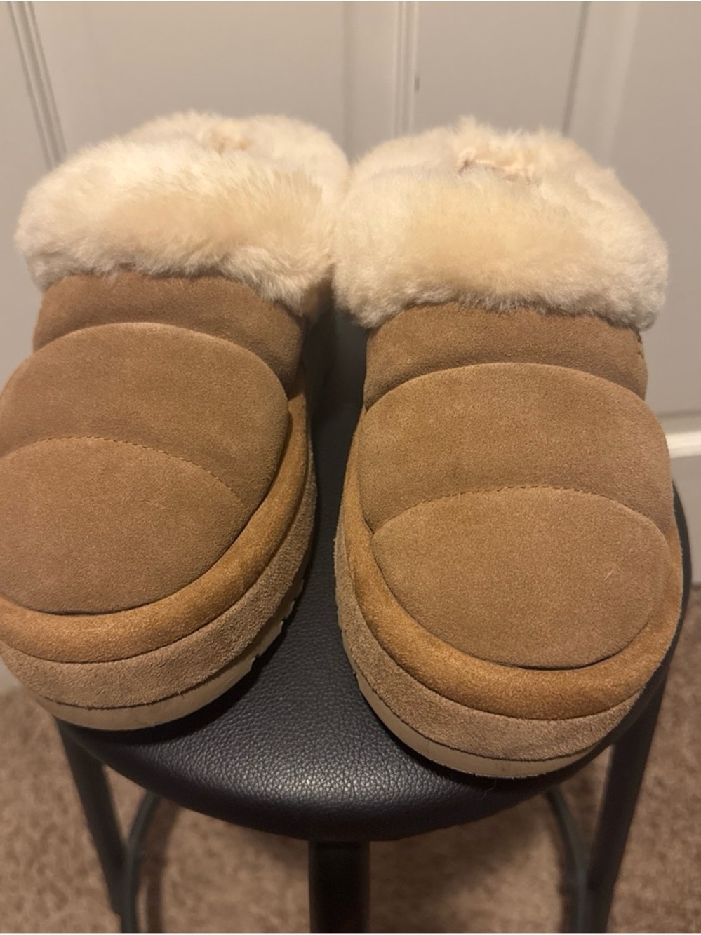 UGG Tazzlita